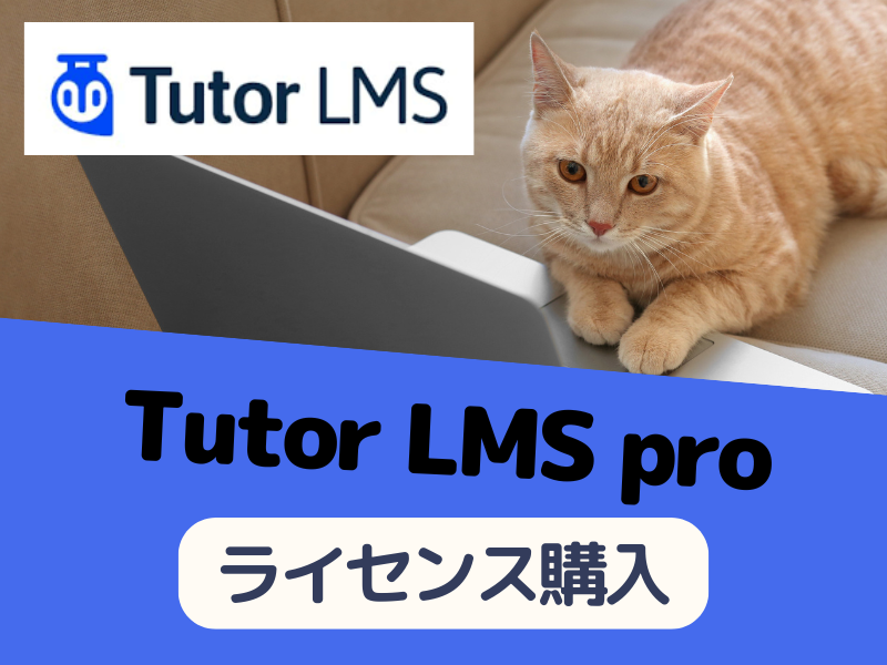 残数1:【テンプレート購入者さま限定】Tutor LMS有料版生涯ライセンス(代理店価格購入)